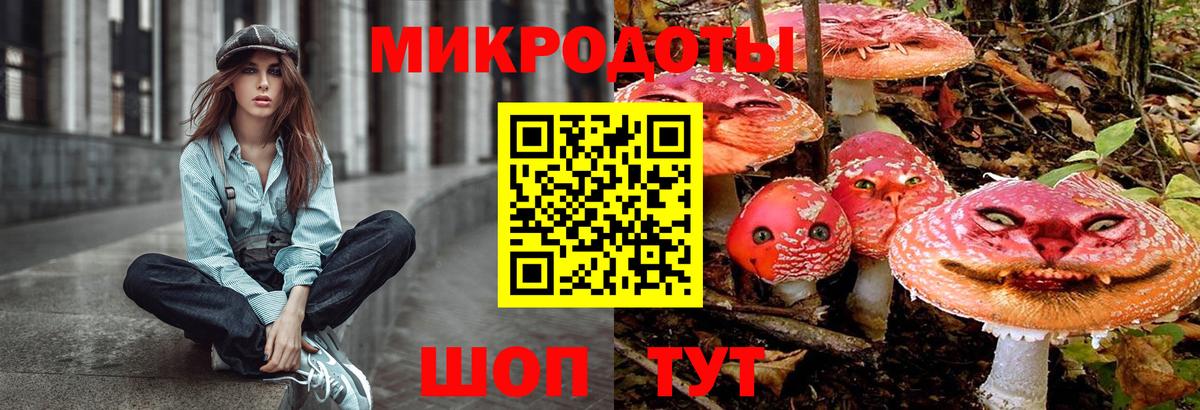 Лабинск  Галлюциногенные грибы Psilocybe  Вход с VPN  Галлюциногенные грибы мицелий 
